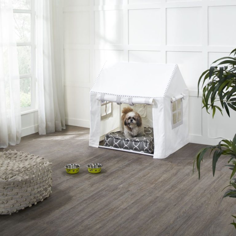 Pro-Capture-One-4177-768x768